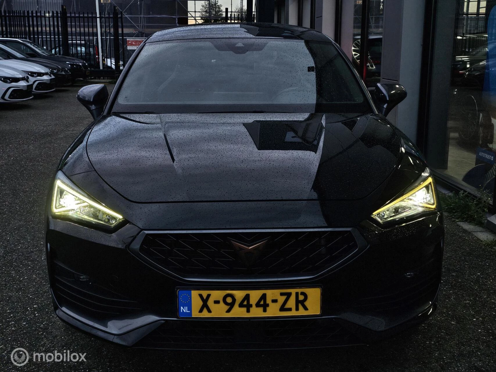 Hoofdafbeelding CUPRA Leon