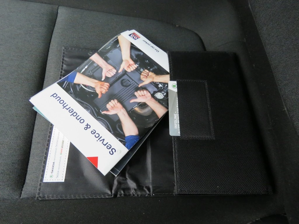 Hoofdafbeelding Škoda Fabia