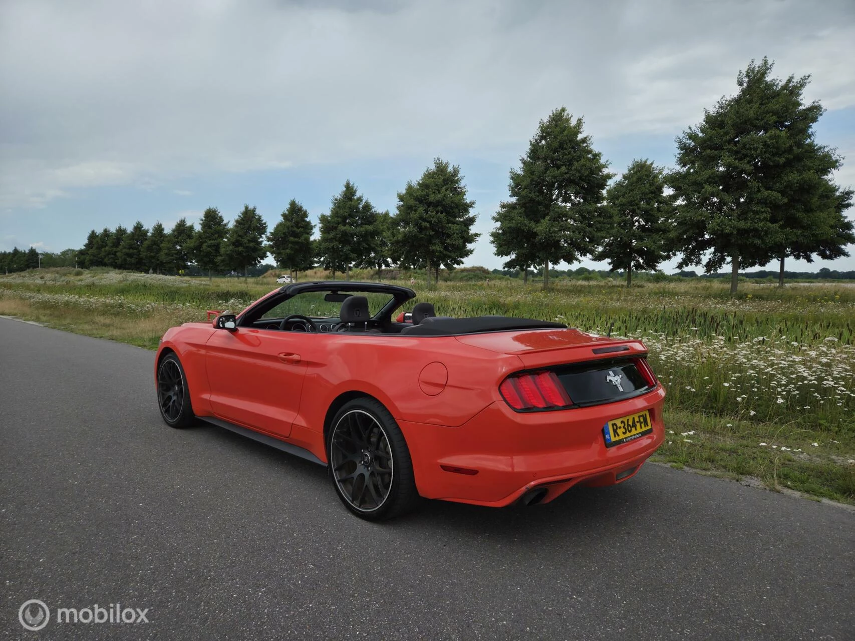 Hoofdafbeelding Ford Mustang