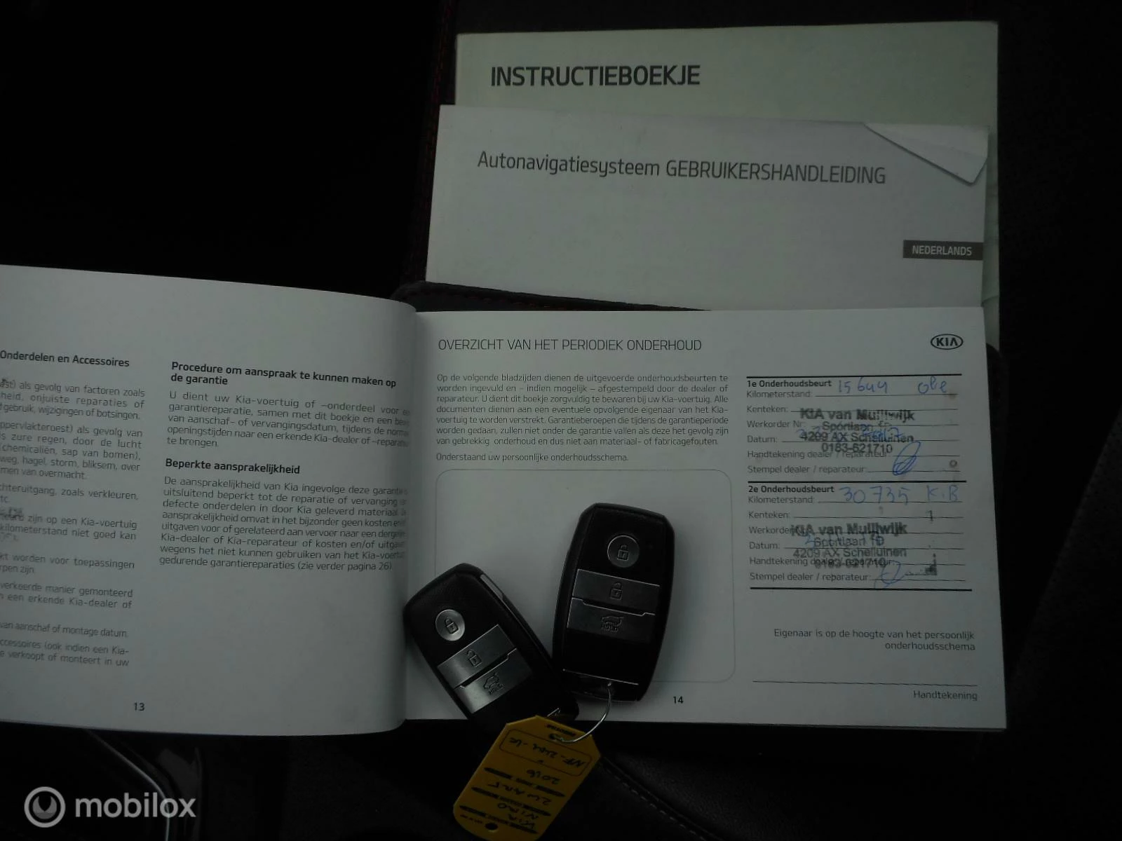 Hoofdafbeelding Kia Niro
