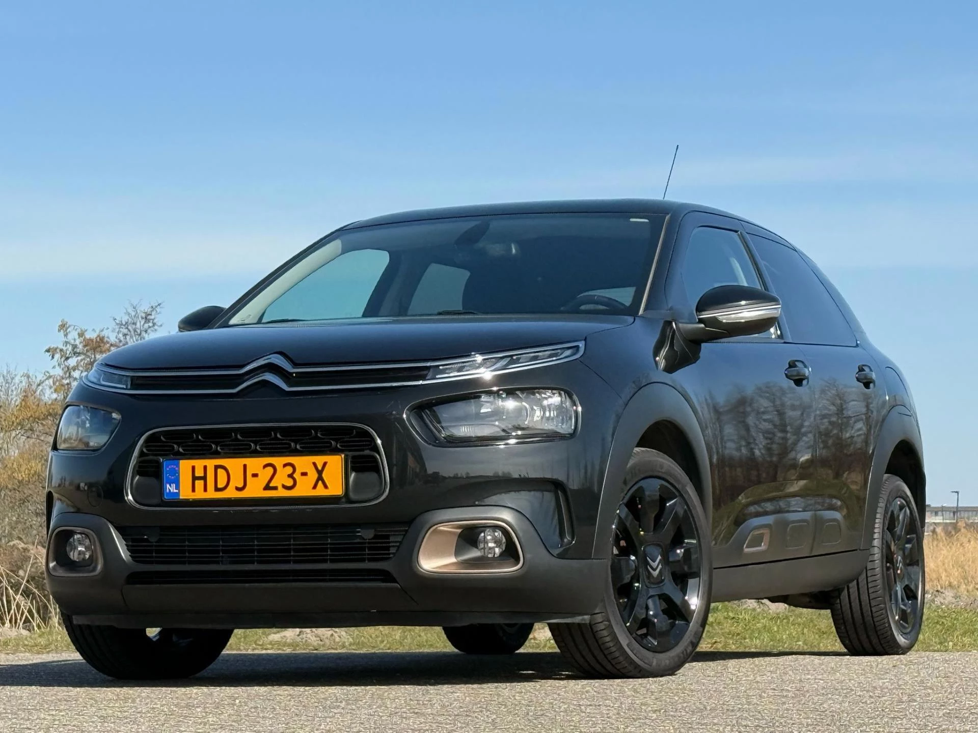 Hoofdafbeelding Citroën C4 Cactus