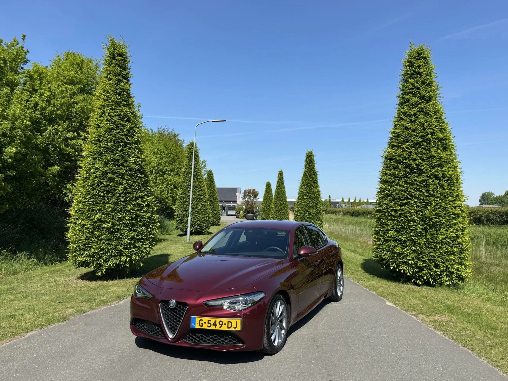 Hoofdafbeelding Alfa Romeo Giulia