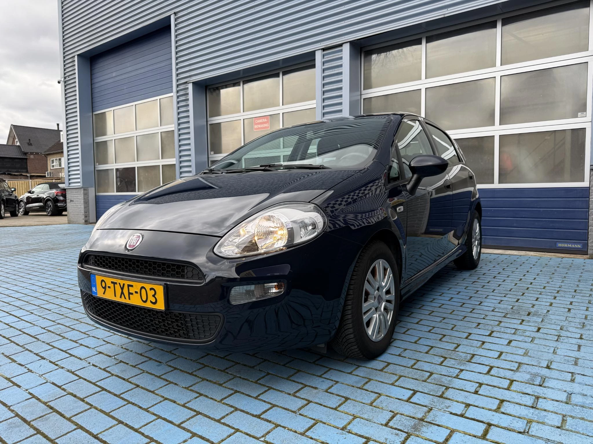 Hoofdafbeelding Fiat Punto