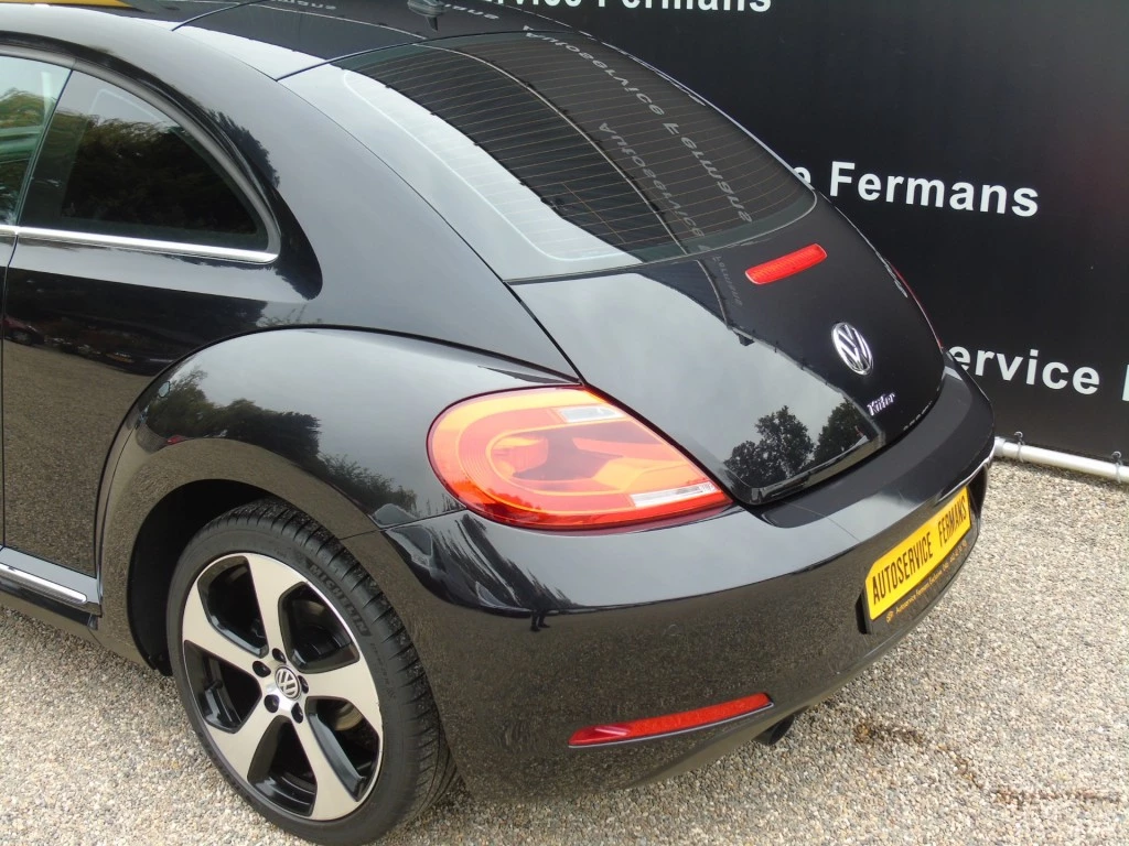 Hoofdafbeelding Volkswagen Beetle