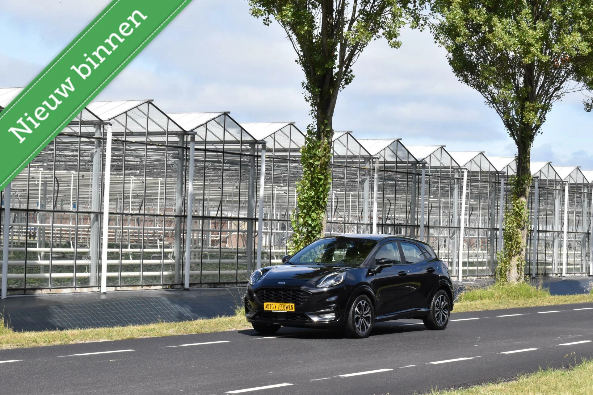 Hoofdafbeelding Ford Puma