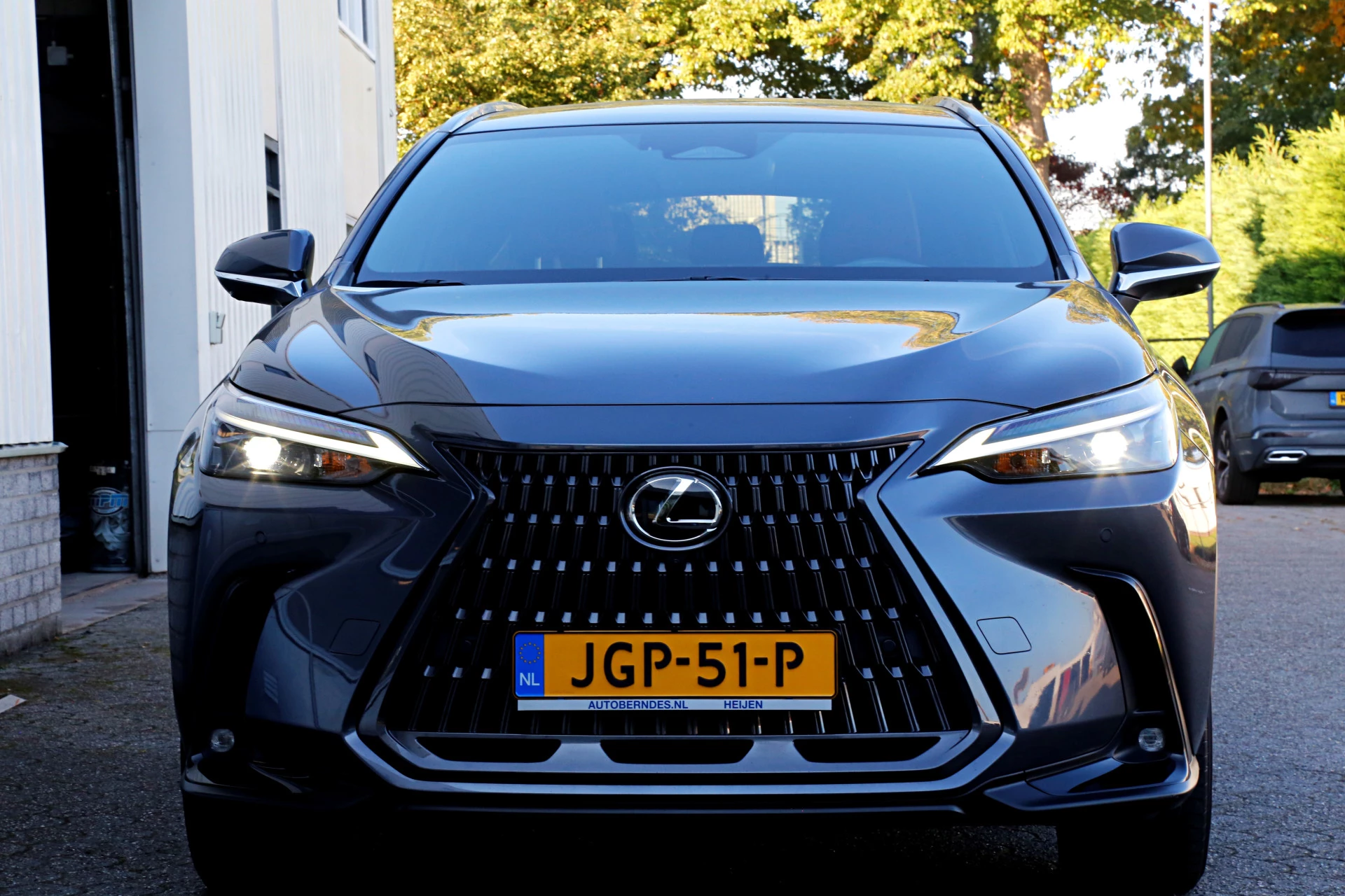 Hoofdafbeelding Lexus NX