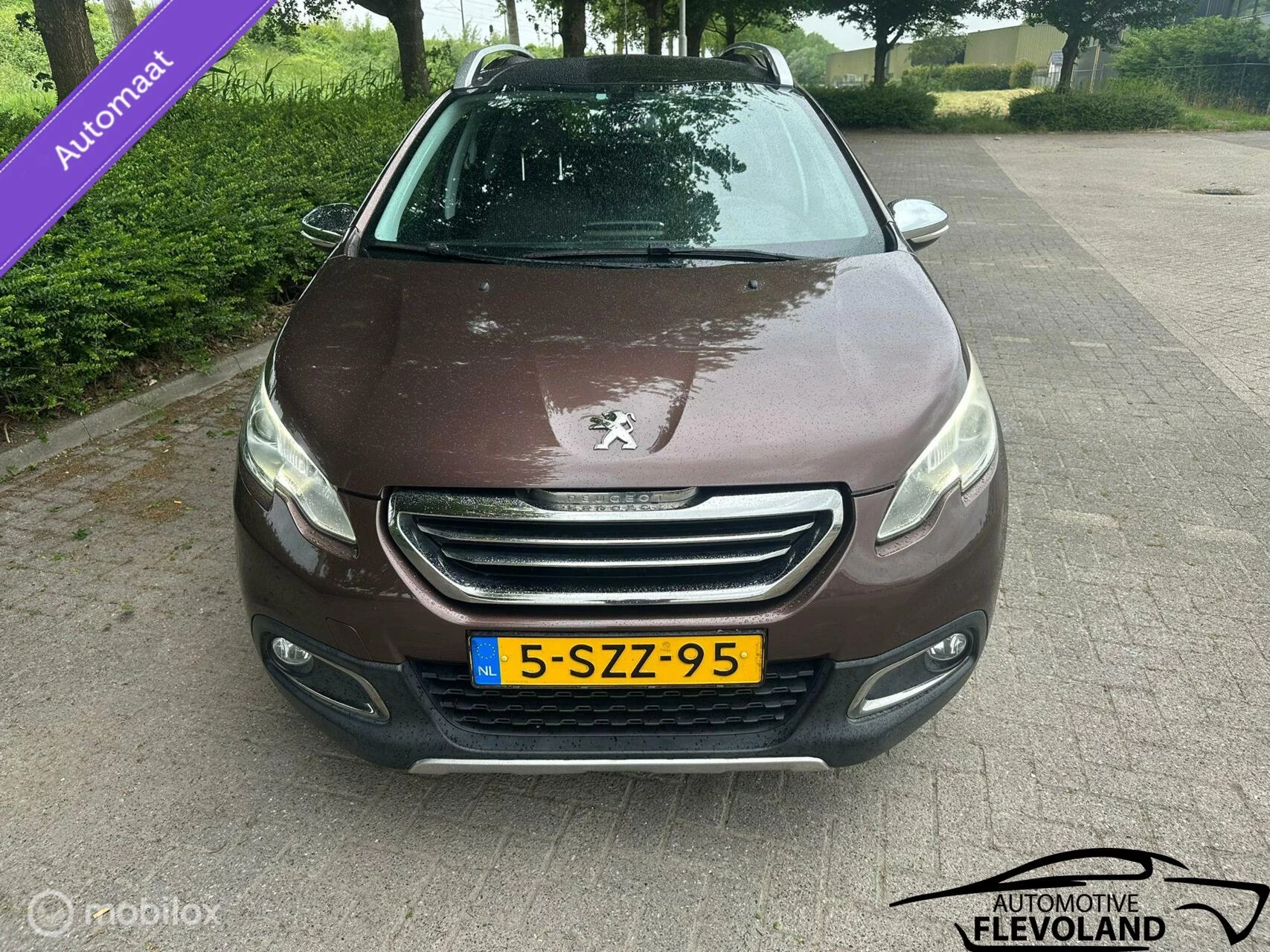 Hoofdafbeelding Peugeot 2008