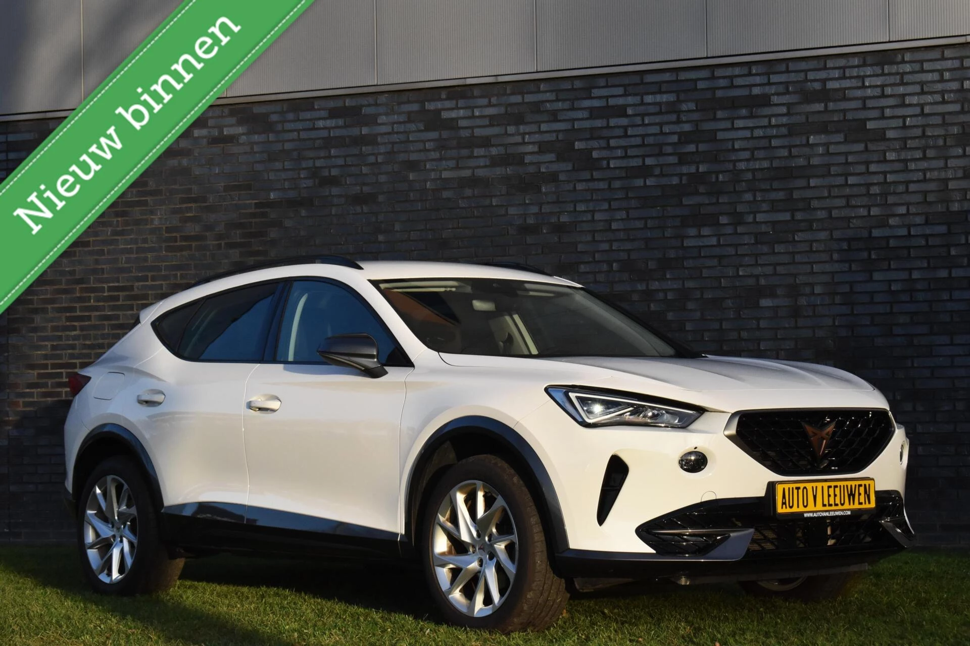 Hoofdafbeelding CUPRA Formentor