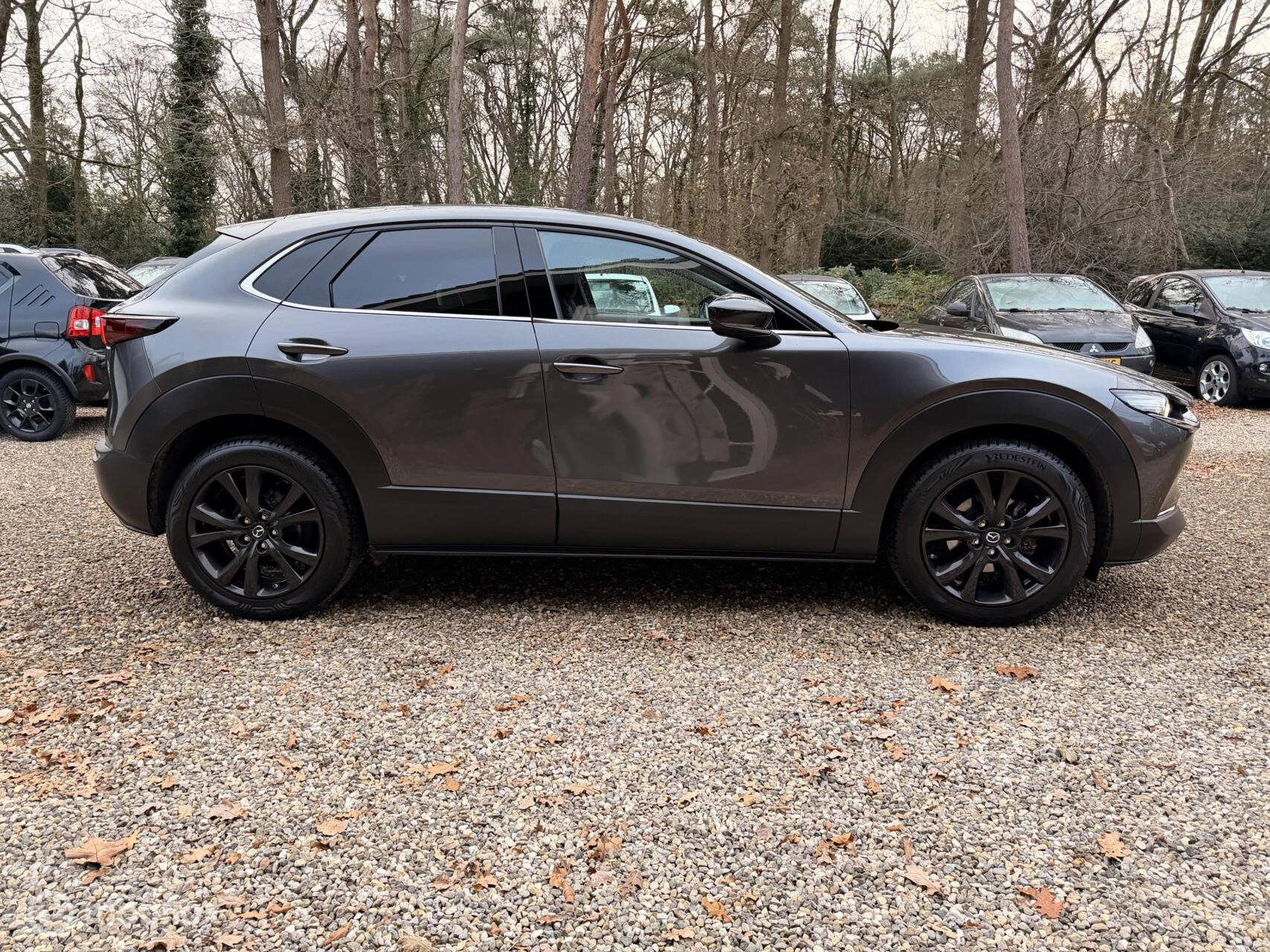 Hoofdafbeelding Mazda CX-30