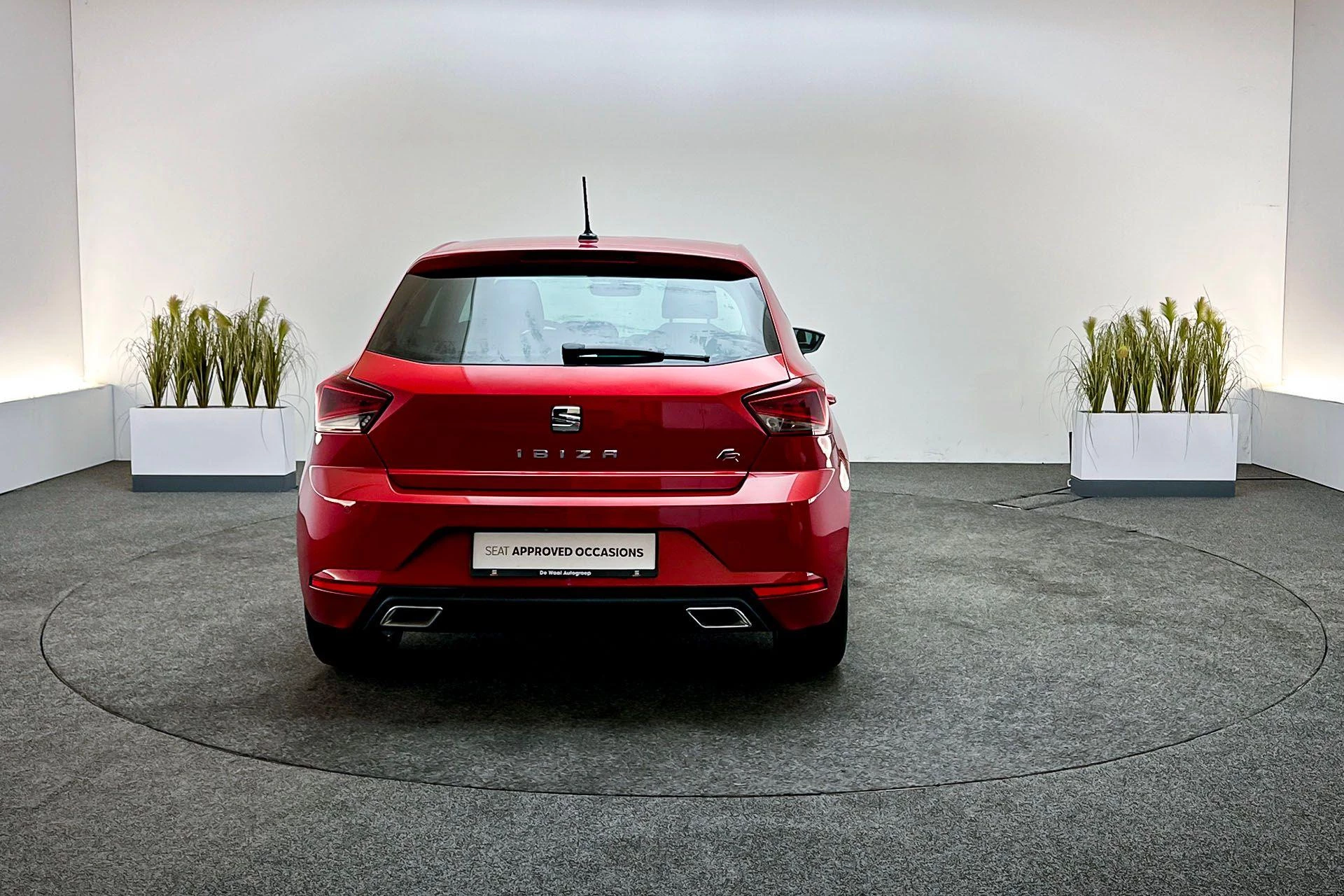 Hoofdafbeelding SEAT Ibiza