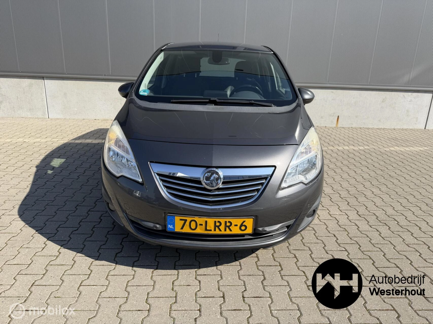 Hoofdafbeelding Opel Meriva