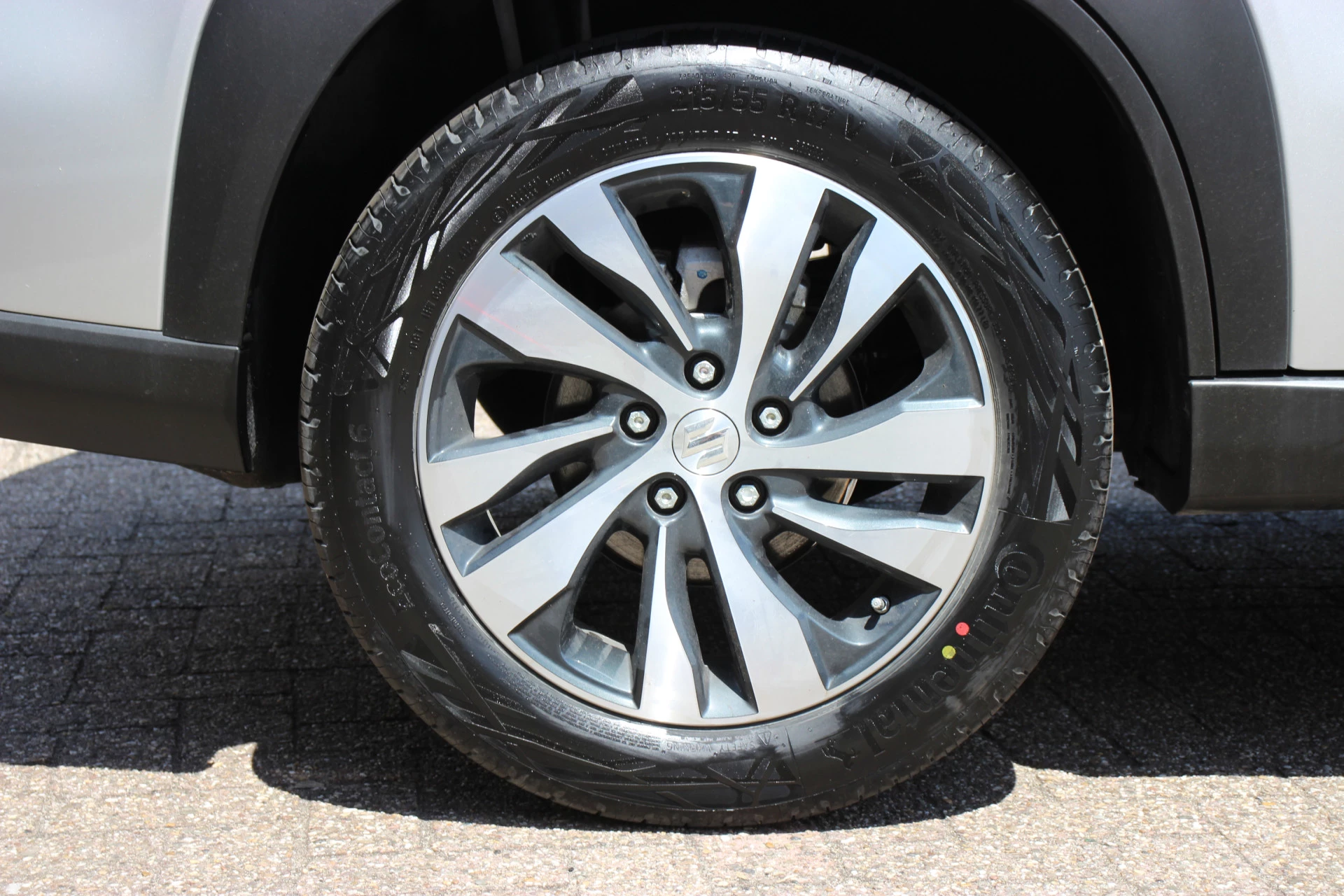 Hoofdafbeelding Suzuki S-Cross