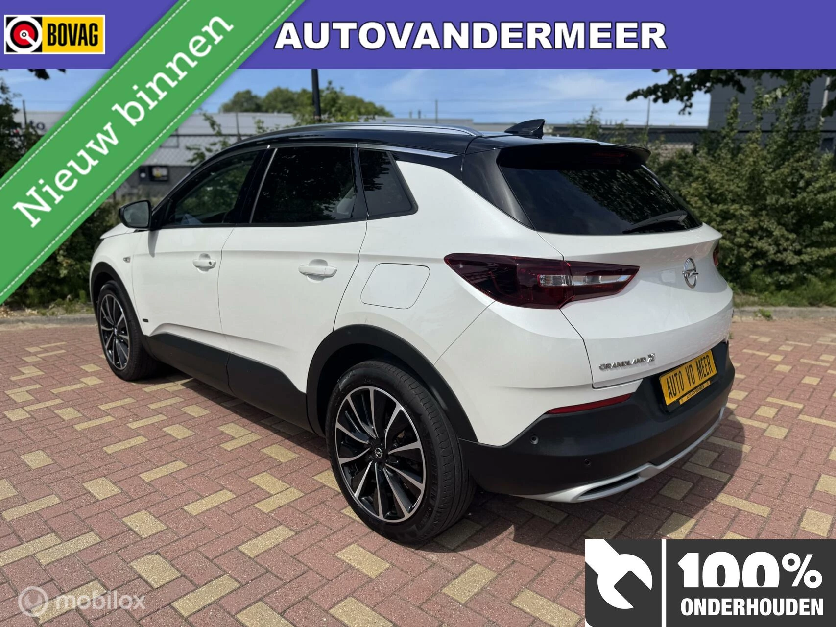 Hoofdafbeelding Opel Grandland X
