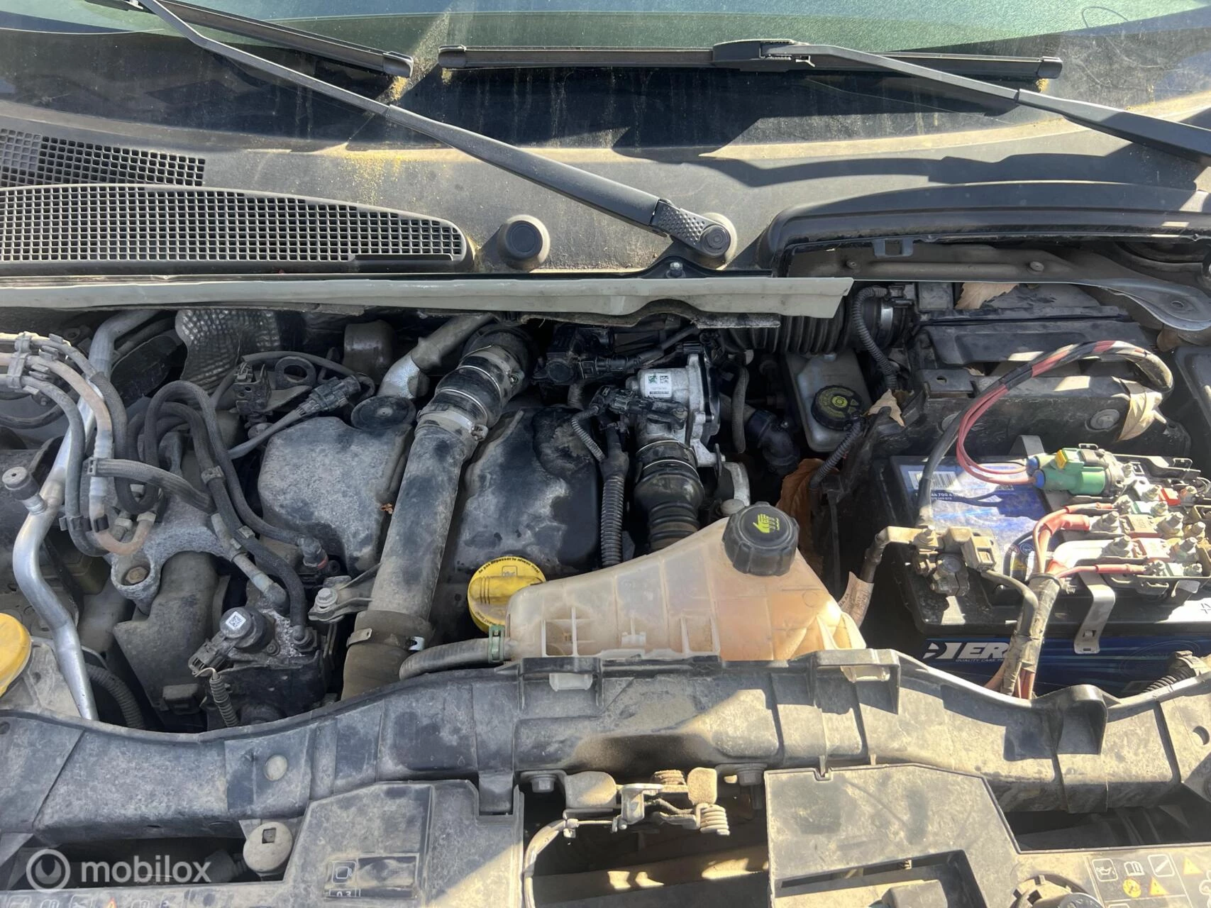 Hoofdafbeelding Renault Kangoo