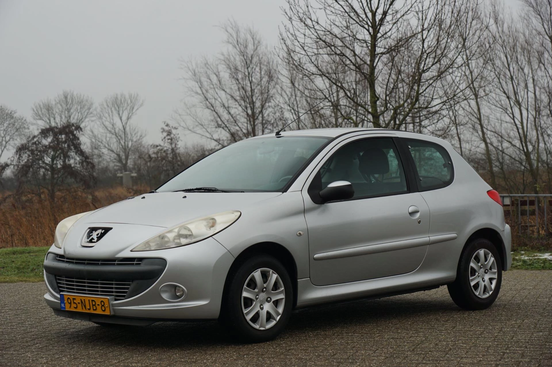 Hoofdafbeelding Peugeot 206