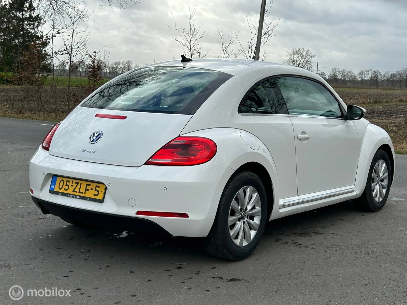 Hoofdafbeelding Volkswagen Beetle
