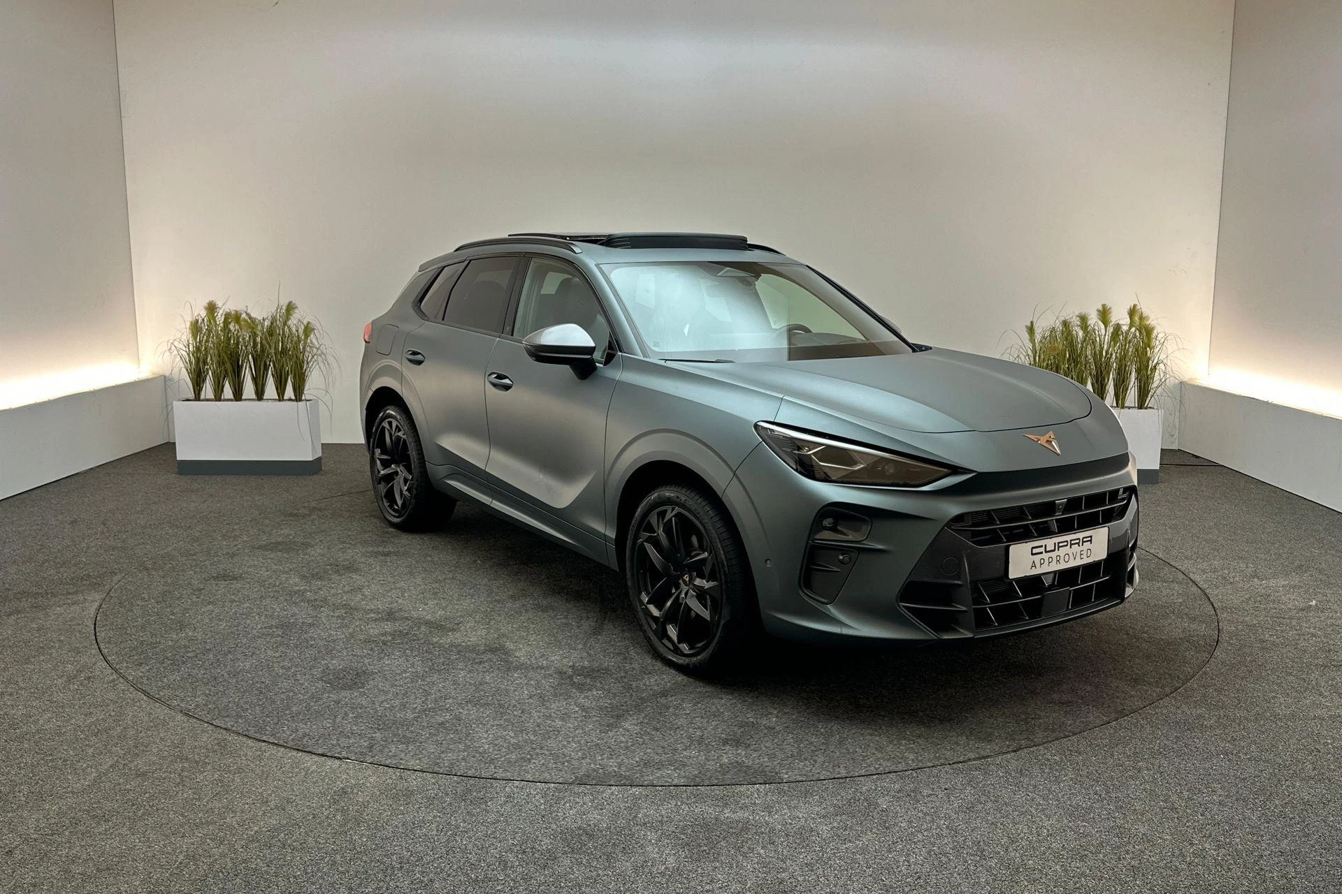 Hoofdafbeelding CUPRA Terramar