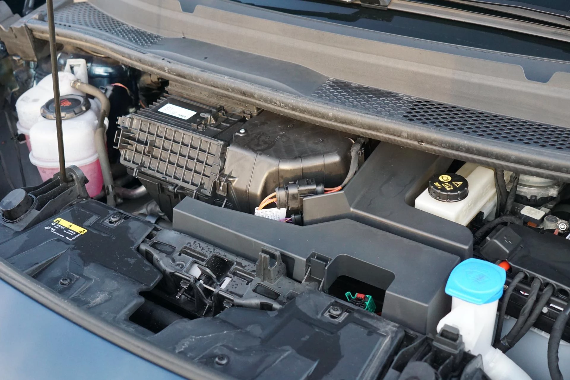 Hoofdafbeelding CUPRA Born