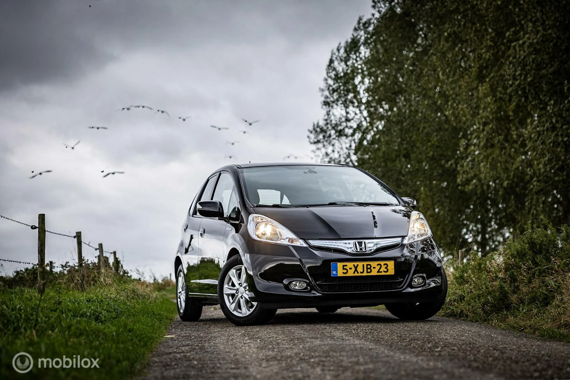 Hoofdafbeelding Honda Jazz