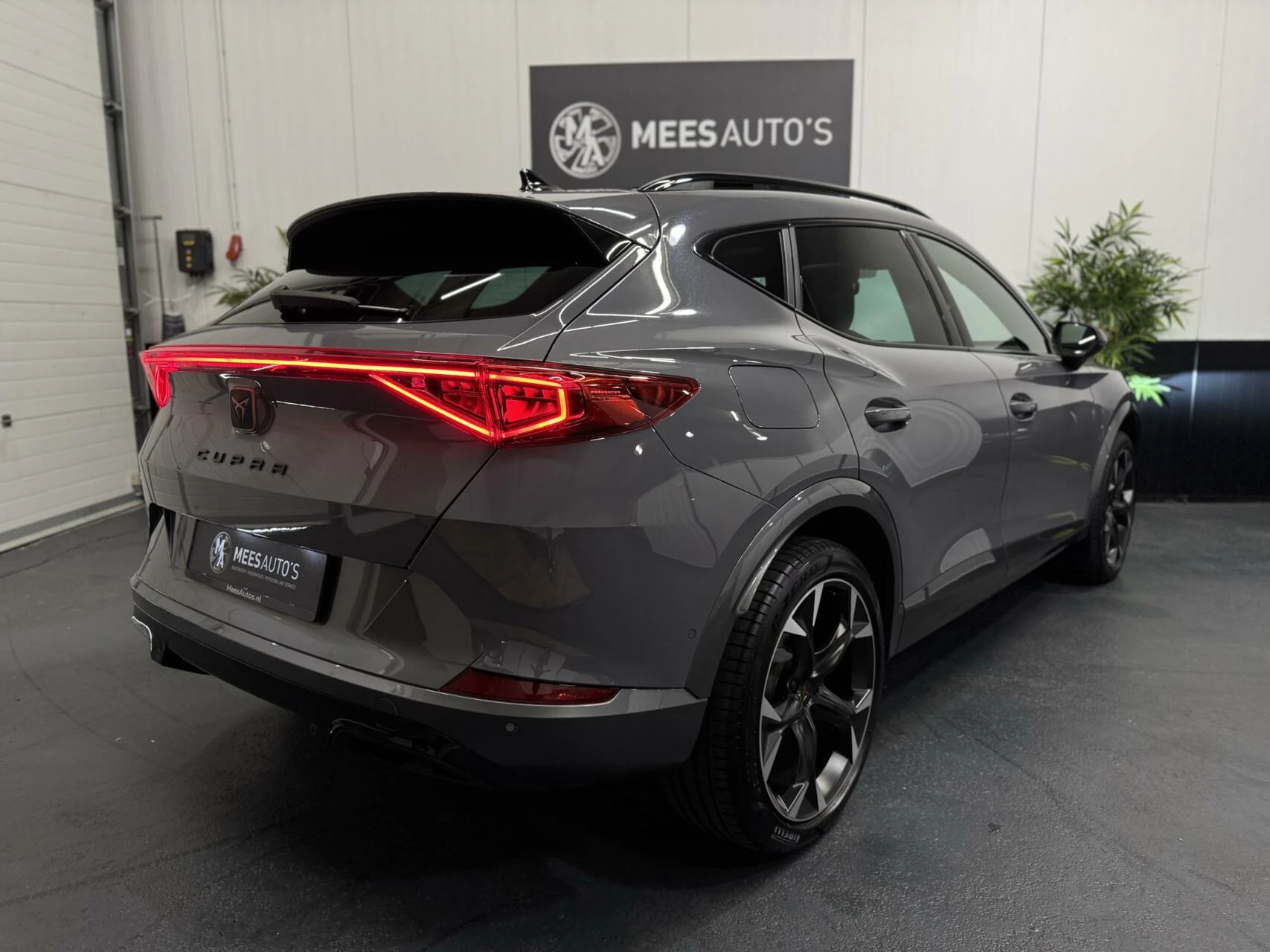 Hoofdafbeelding CUPRA Formentor