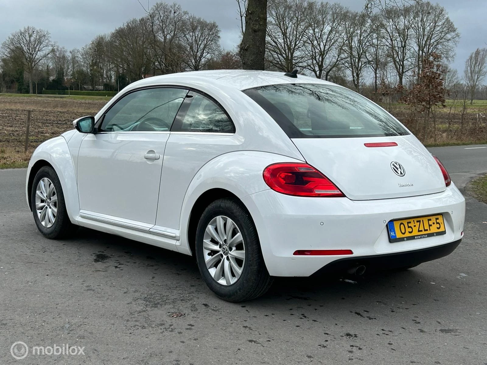 Hoofdafbeelding Volkswagen Beetle