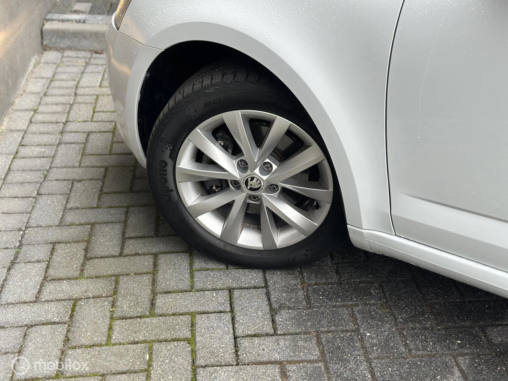 Hoofdafbeelding Škoda Octavia