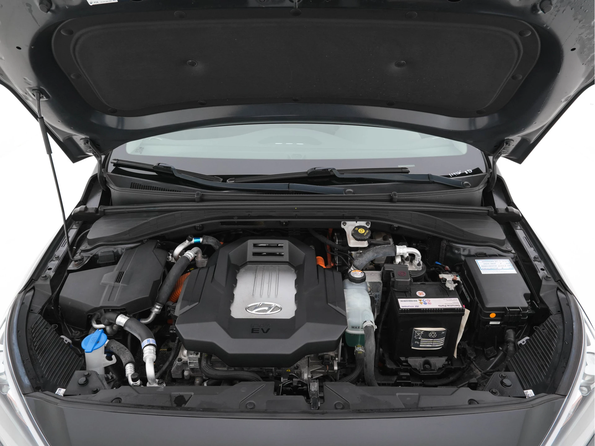 Hoofdafbeelding Hyundai IONIQ