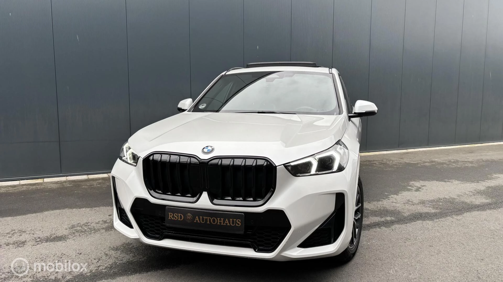 Hoofdafbeelding BMW X1