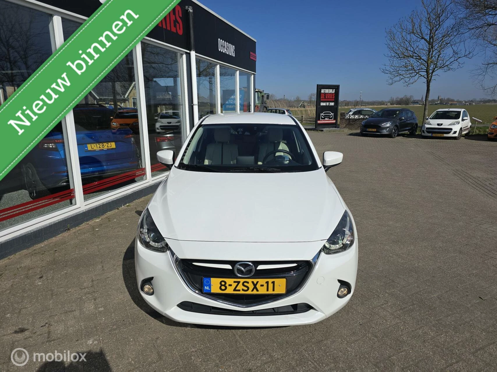 Hoofdafbeelding Mazda 2