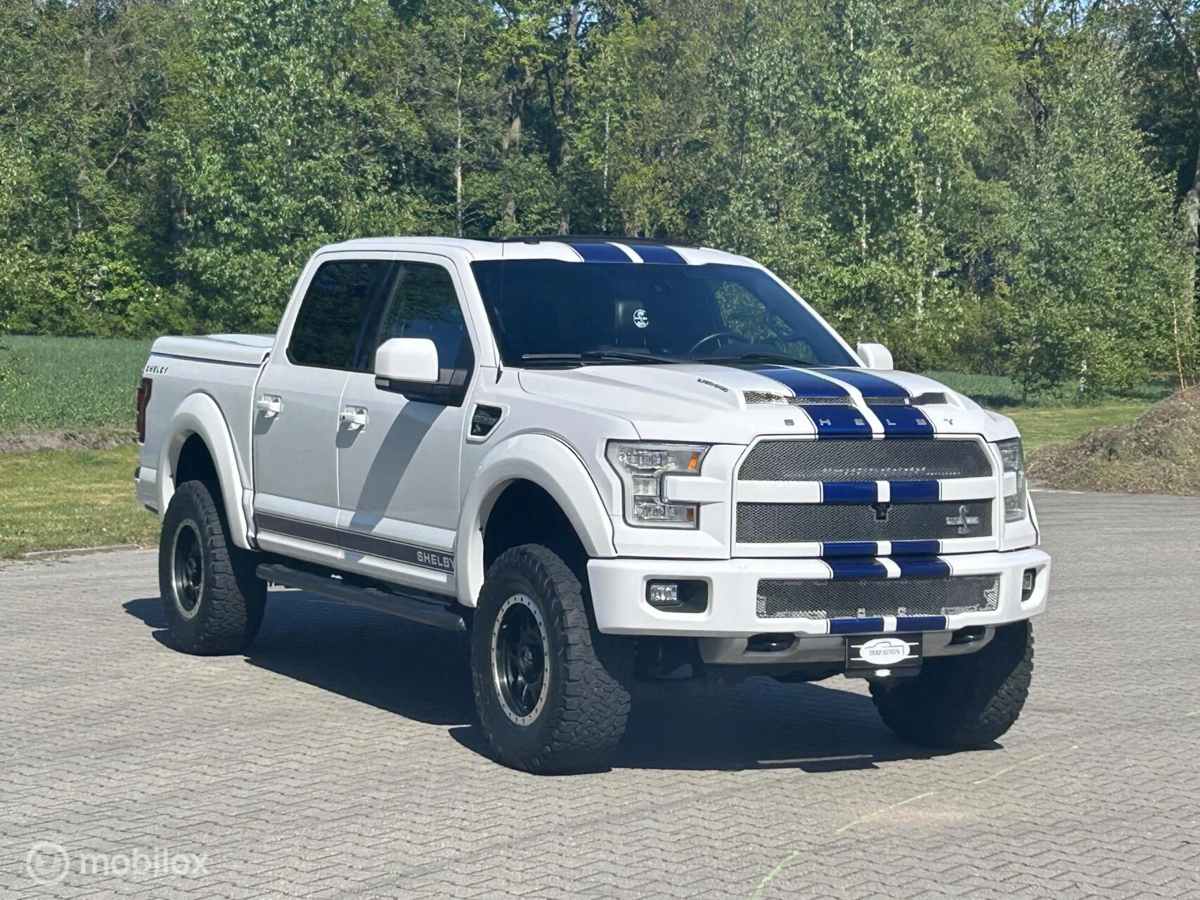 Hoofdafbeelding Ford F-150