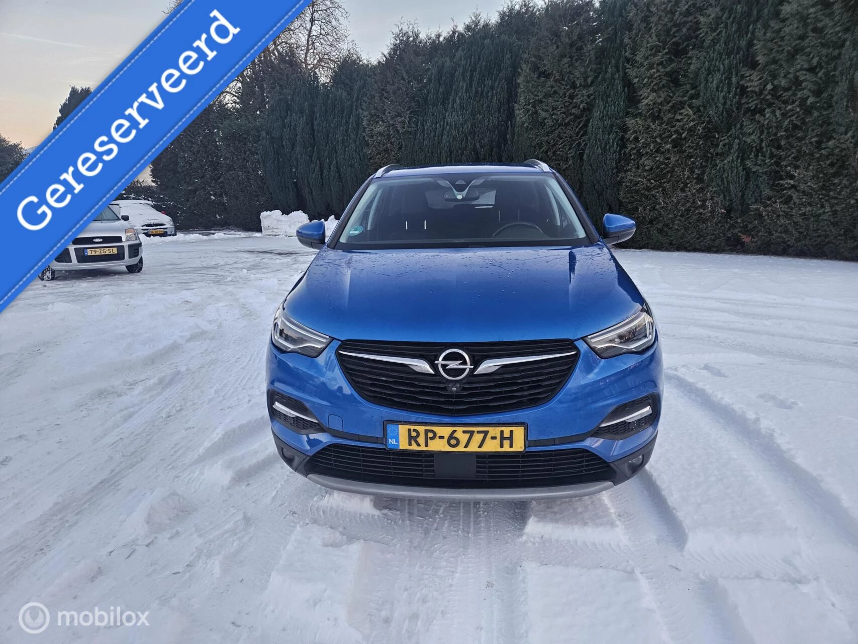 Hoofdafbeelding Opel Grandland X