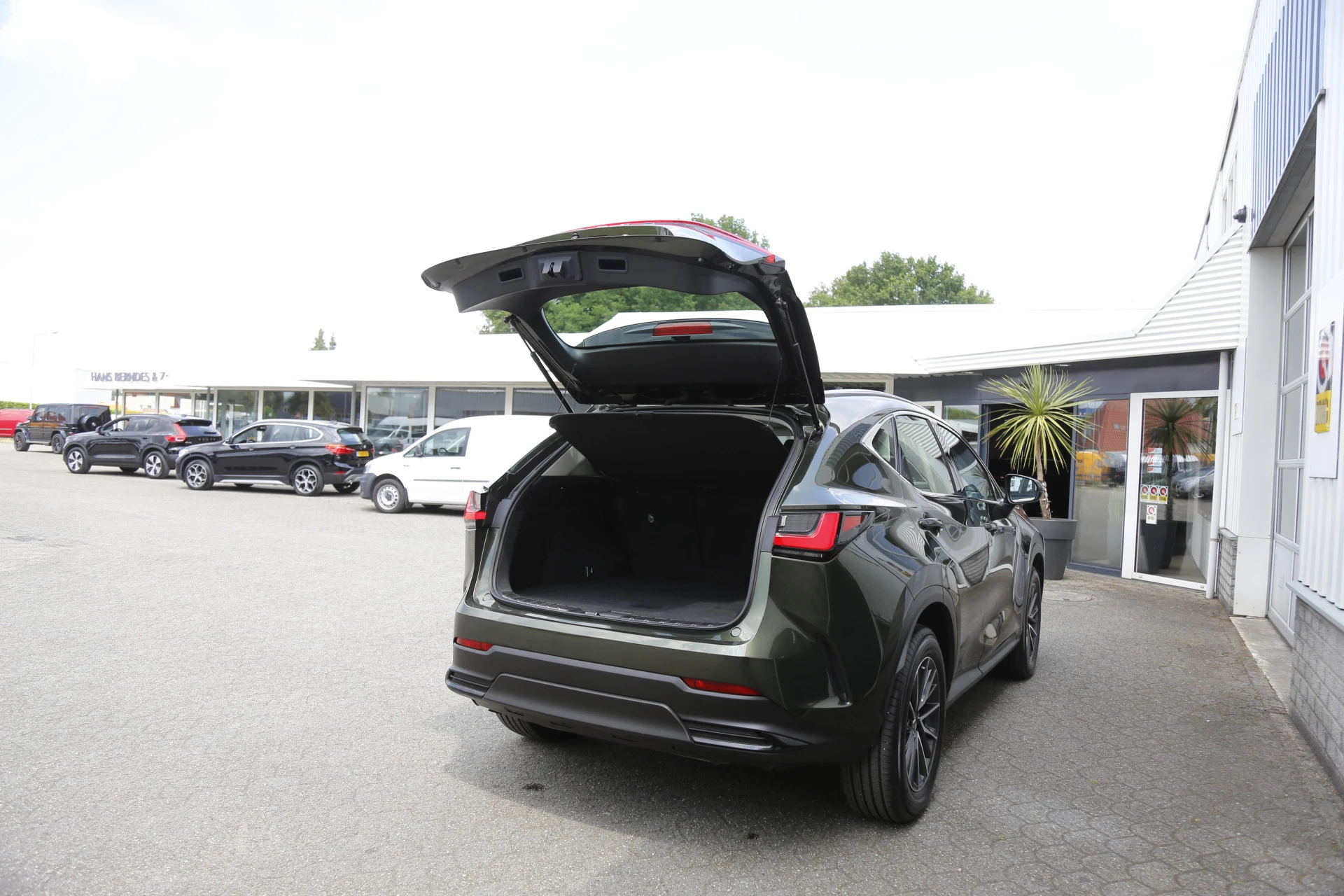 Hoofdafbeelding Lexus NX