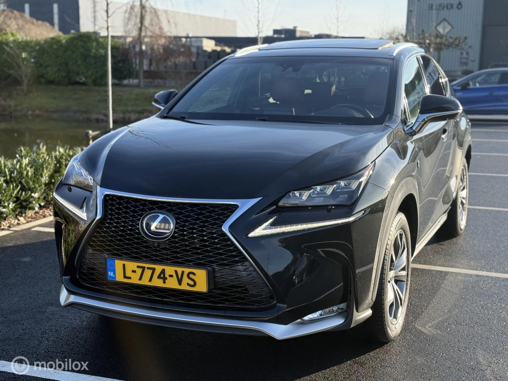 Hoofdafbeelding Lexus NX