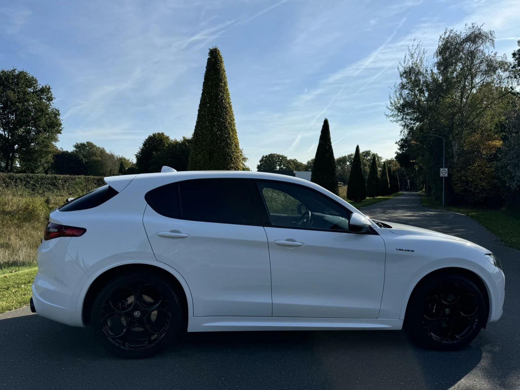 Hoofdafbeelding Alfa Romeo Stelvio