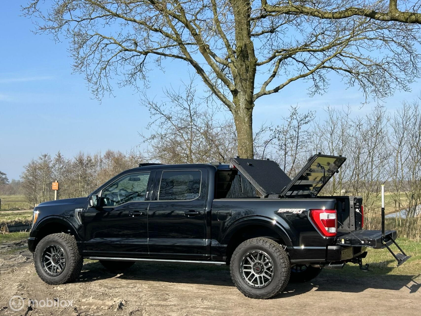Hoofdafbeelding Ford F-150