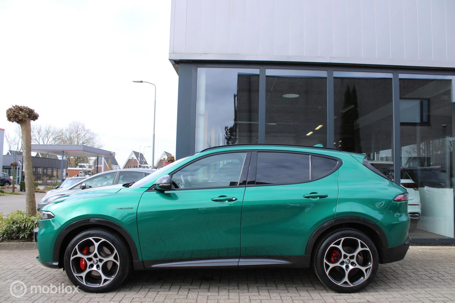 Hoofdafbeelding Alfa Romeo Tonale