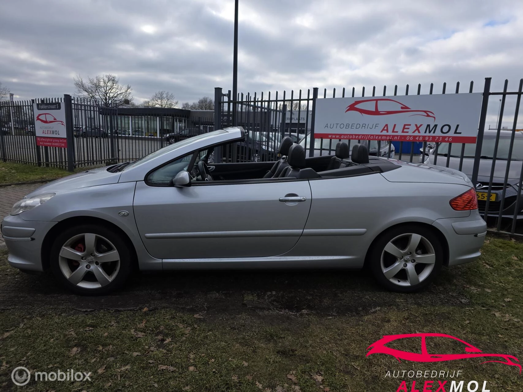 Hoofdafbeelding Peugeot 307