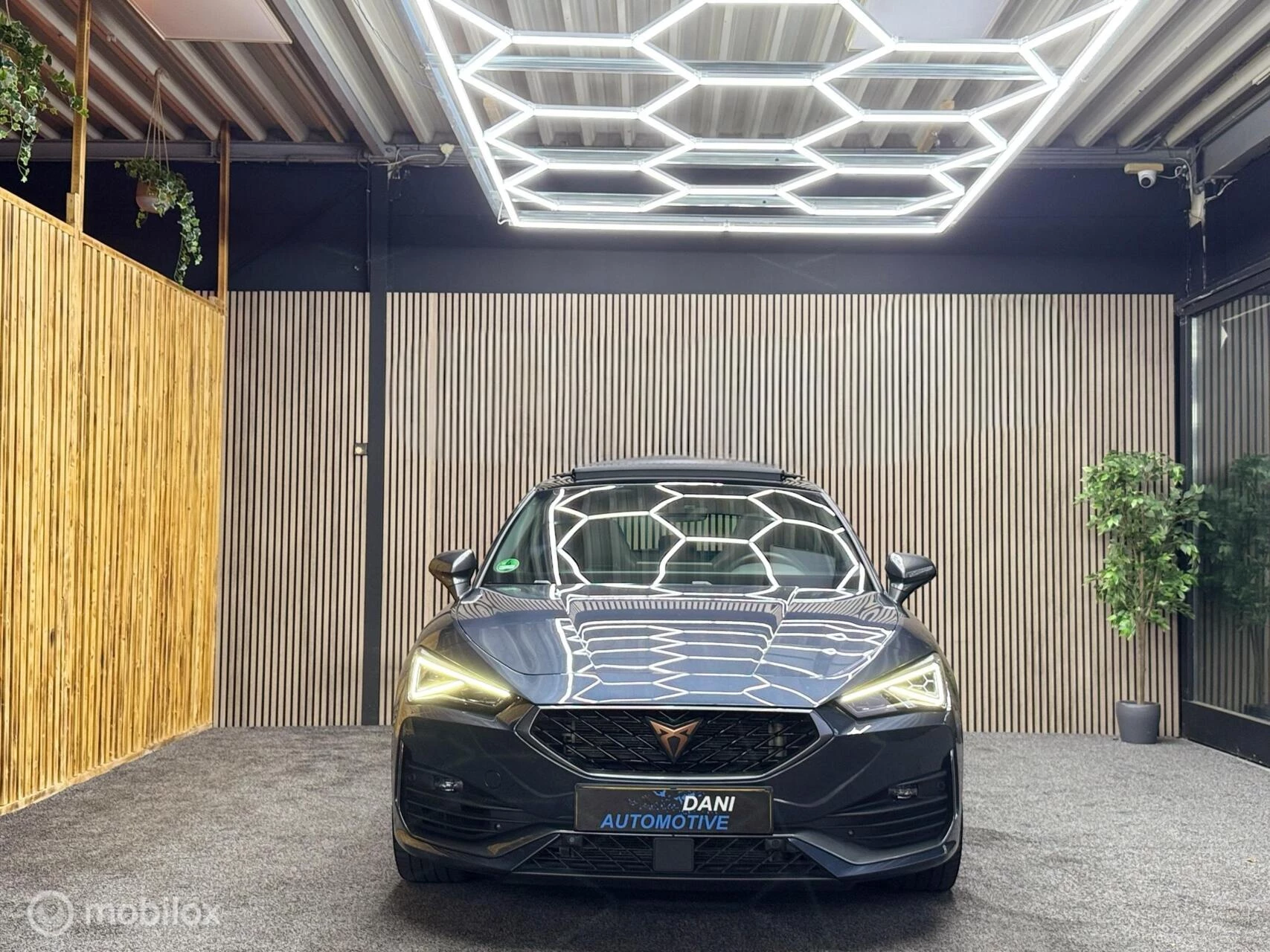 Hoofdafbeelding CUPRA Leon