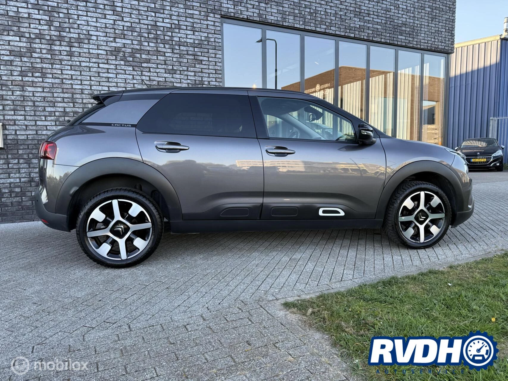 Hoofdafbeelding Citroën C4 Cactus