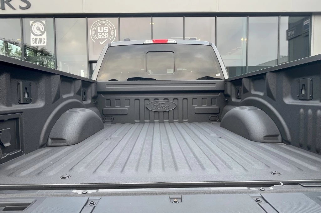 Hoofdafbeelding Ford F-150