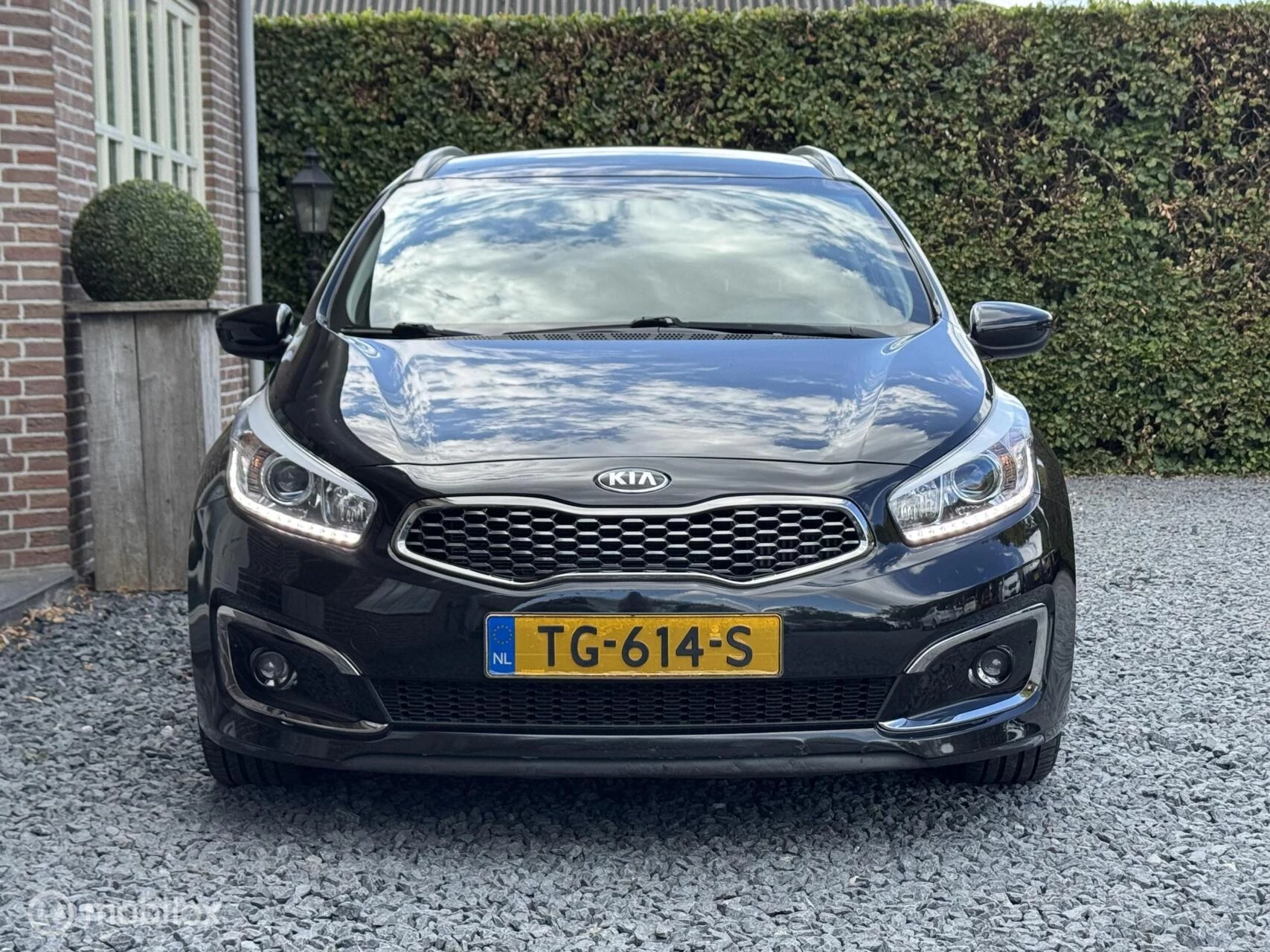 Hoofdafbeelding Kia cee'd