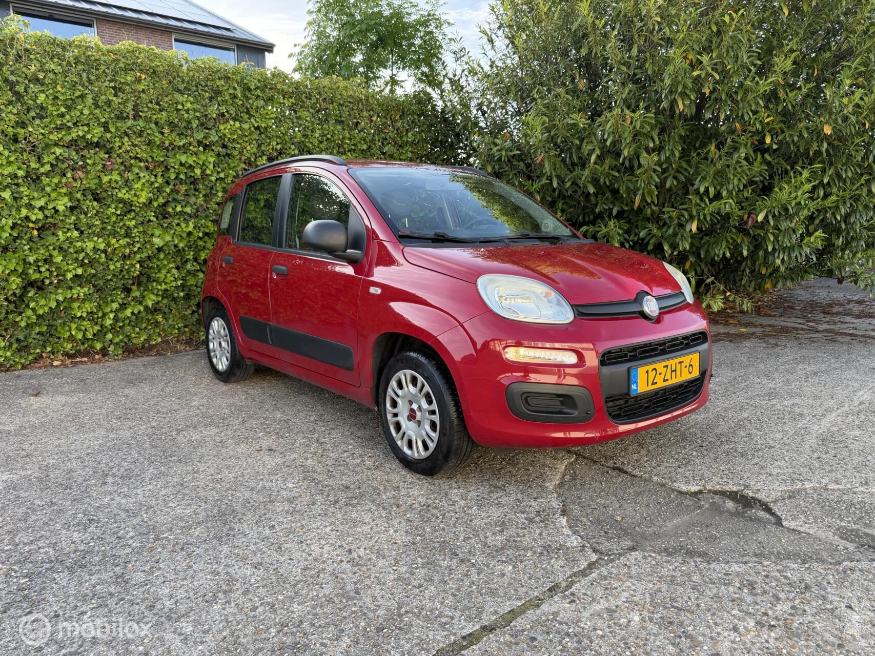 Hoofdafbeelding Fiat Panda