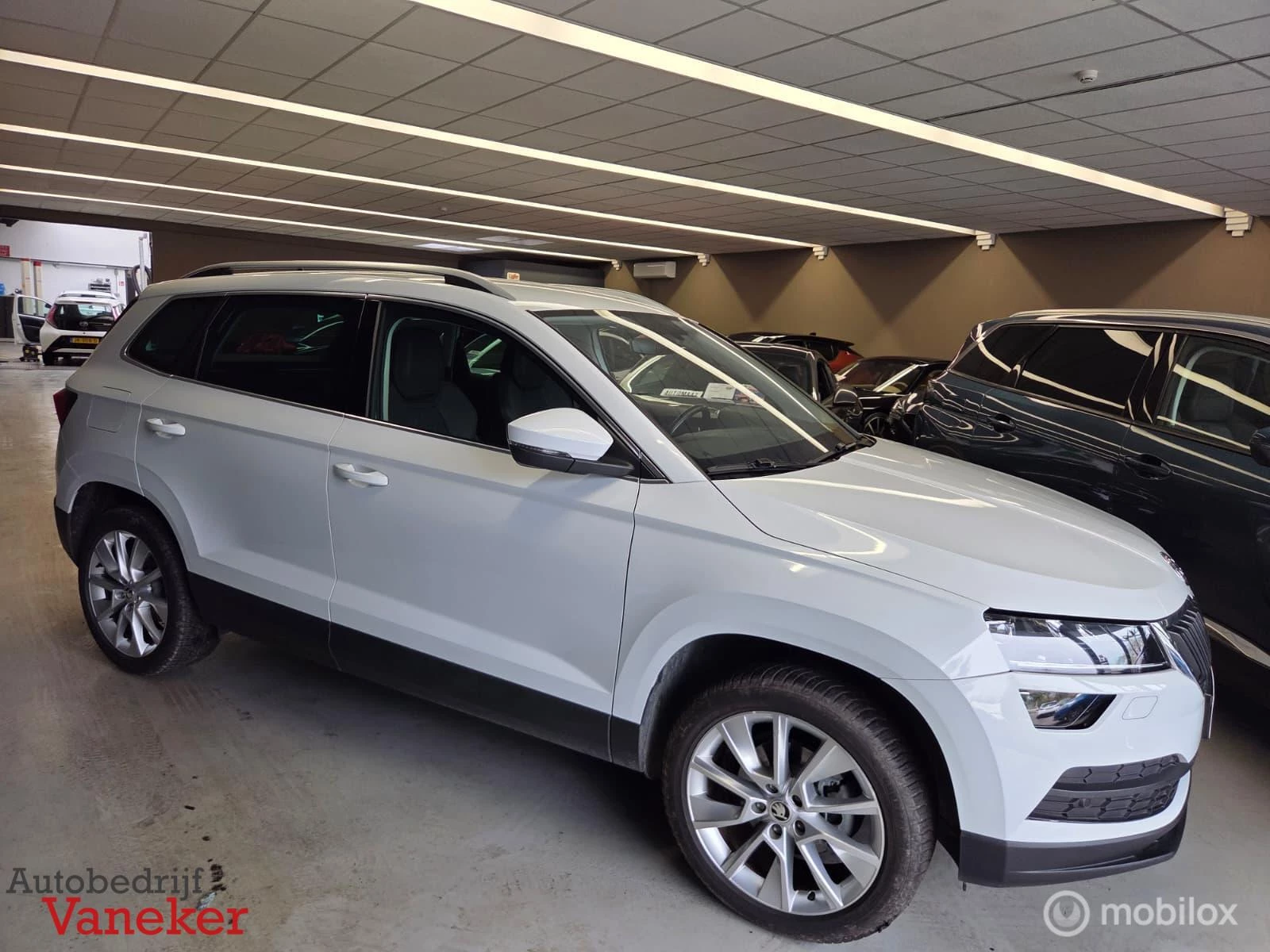 Hoofdafbeelding Škoda Karoq