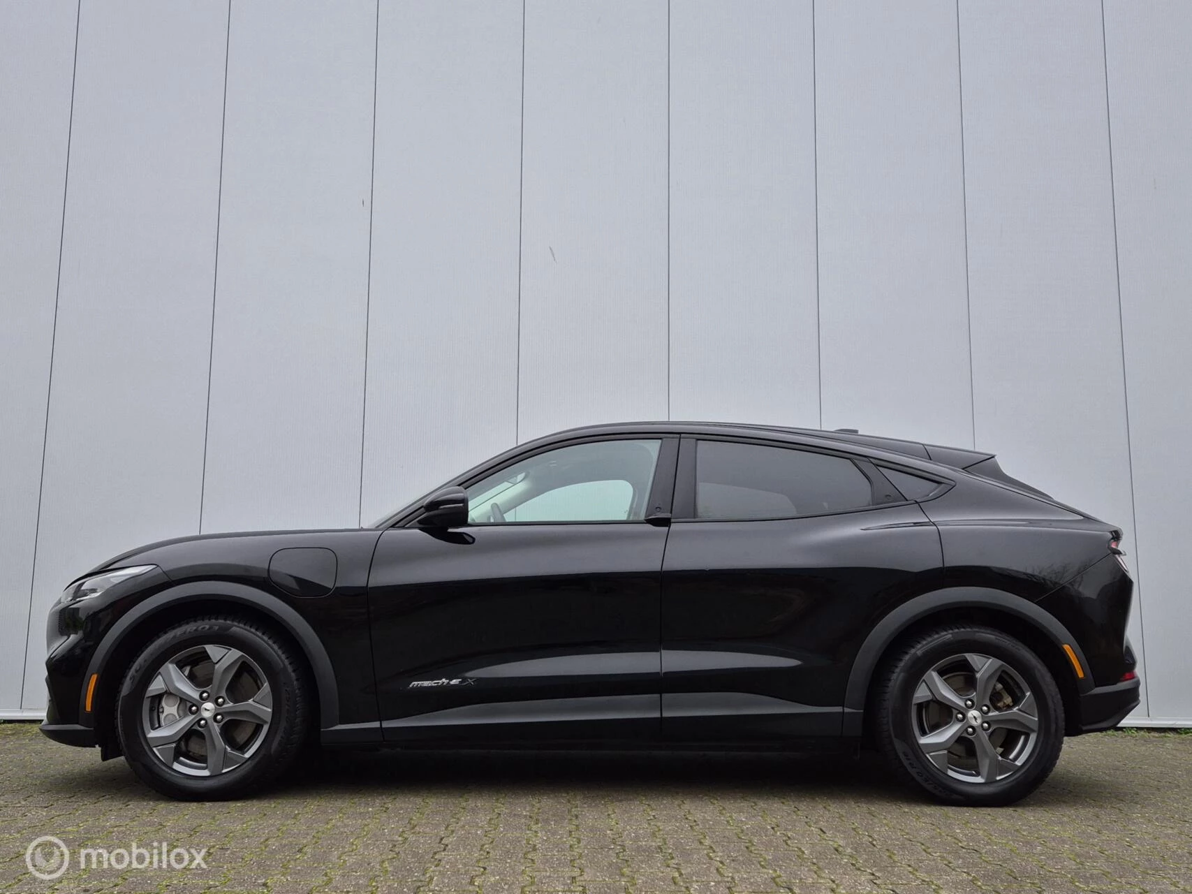 Hoofdafbeelding Ford Mustang Mach-E