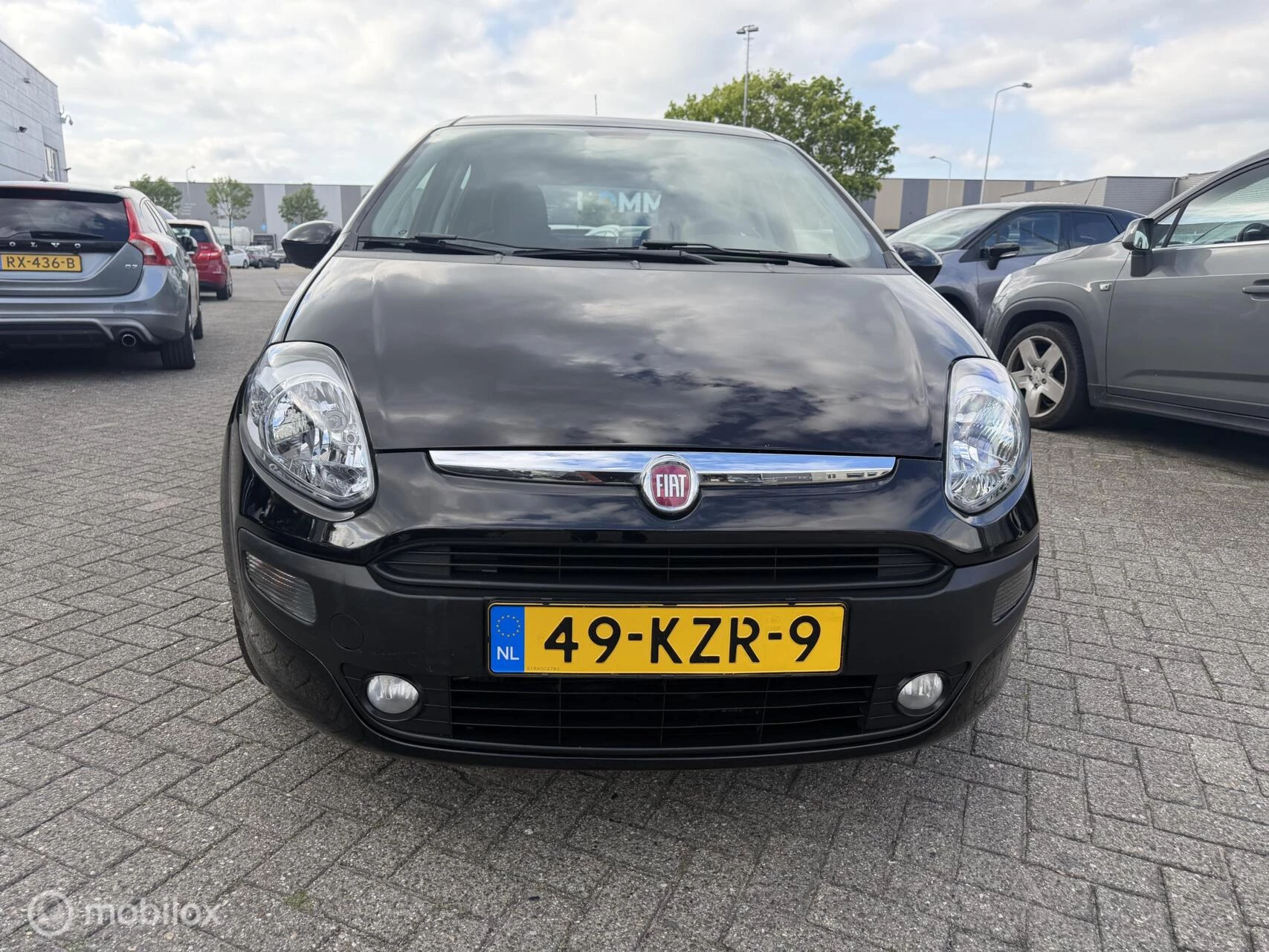 Hoofdafbeelding Fiat Punto