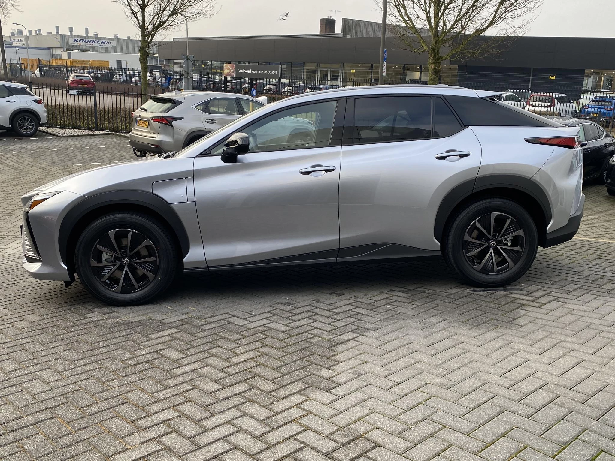 Hoofdafbeelding Lexus RZ