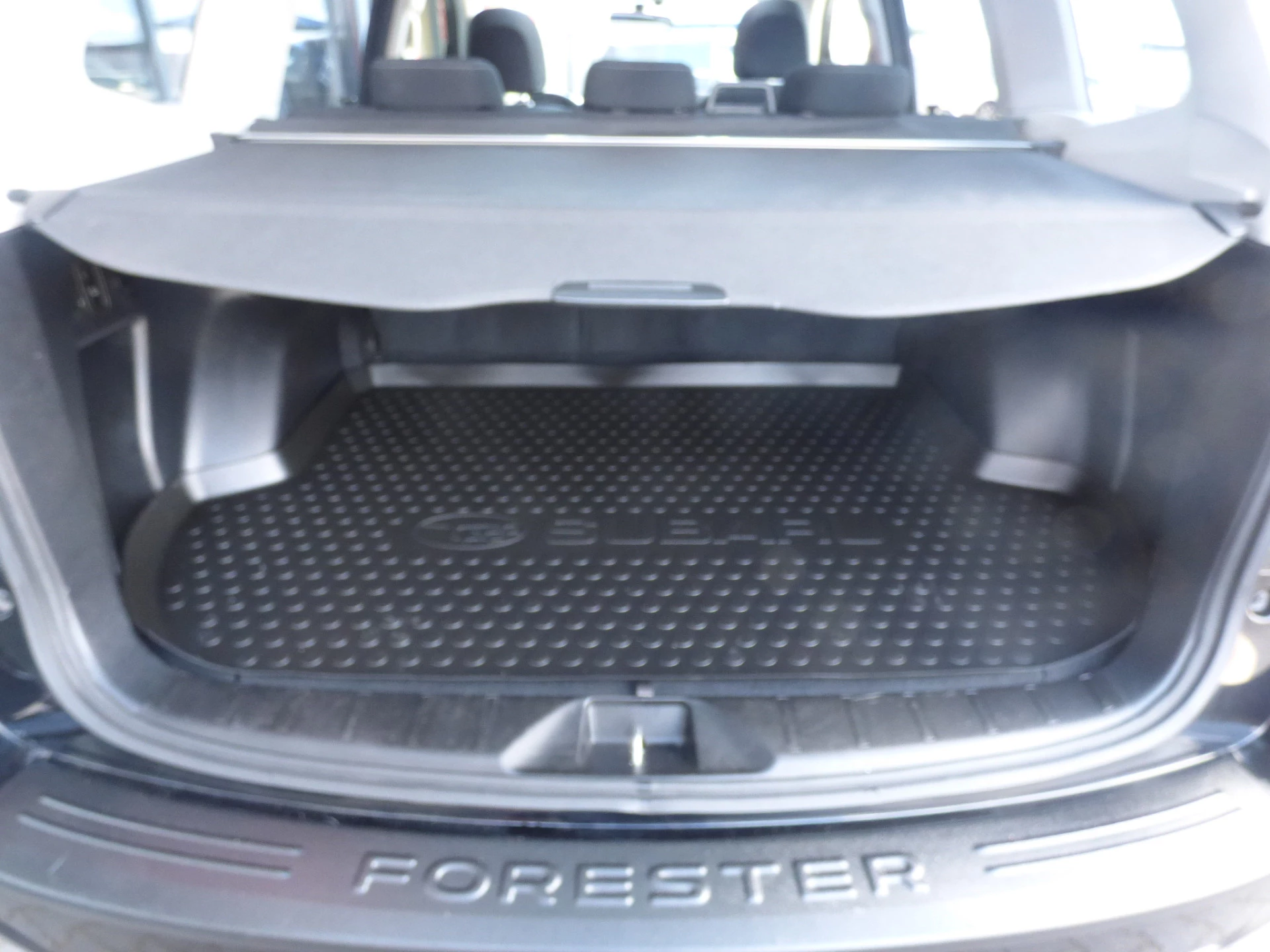 Hoofdafbeelding Subaru Forester