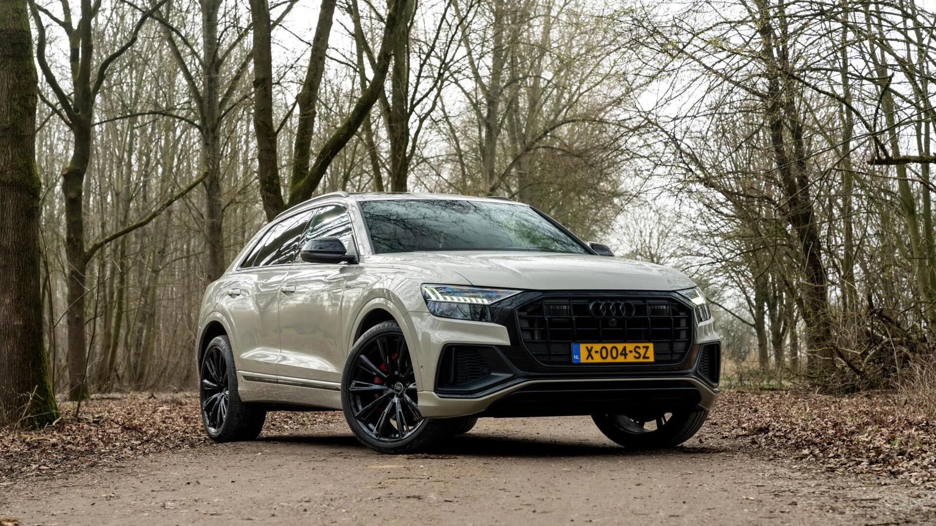 Hoofdafbeelding Audi Q8