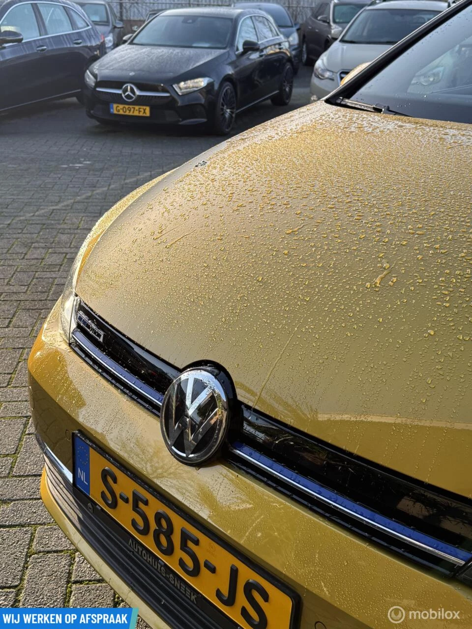 Hoofdafbeelding Volkswagen Golf