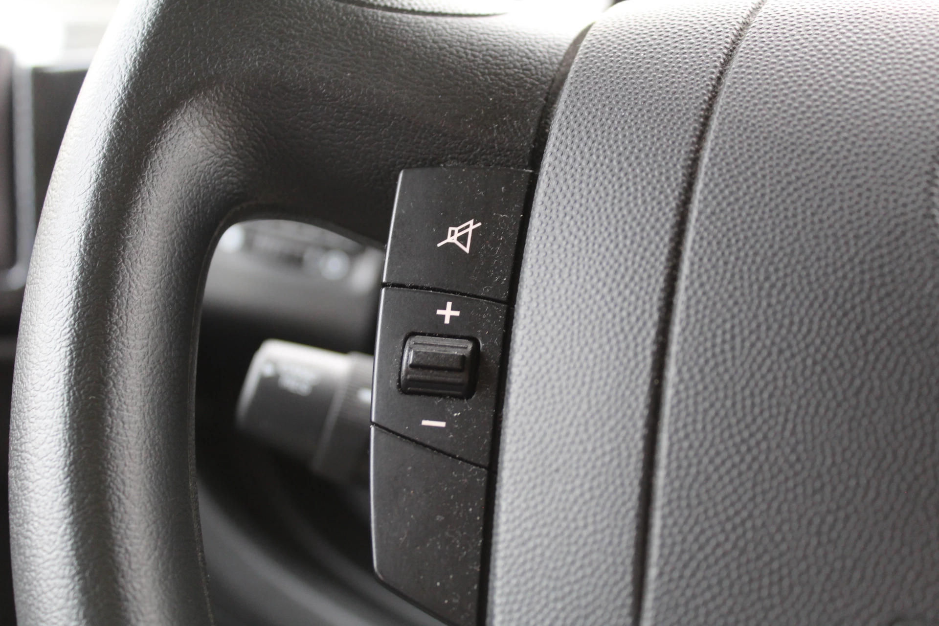 Hoofdafbeelding McLouis YEARLING